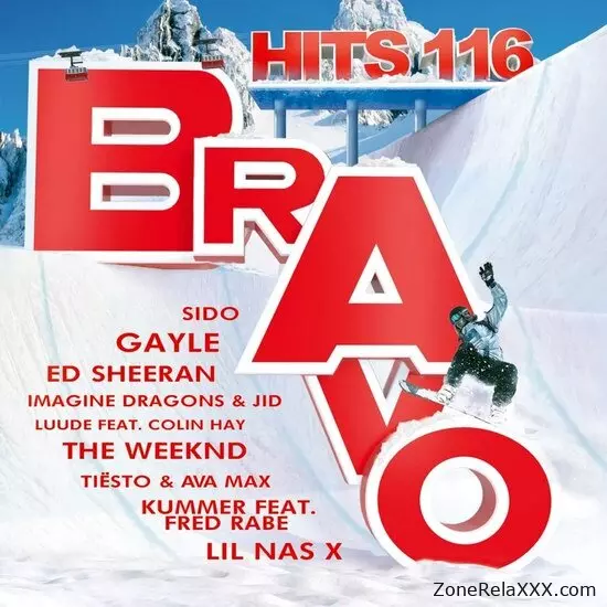 Bravo Hits Vol. 116