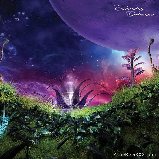 Enchanting Electronica